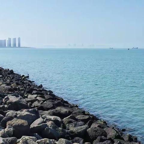 演奏乐器一高二下