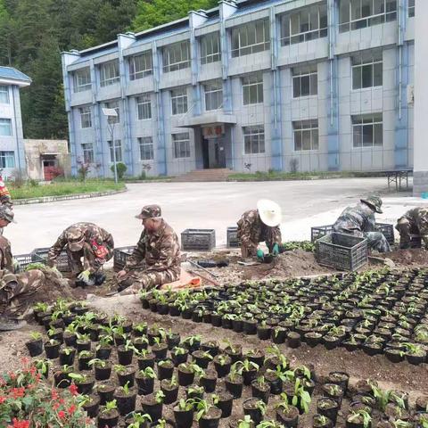 迭部生态建设管护中心腊子口林场工作日报