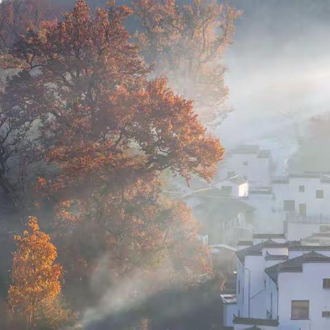 2019.10江南秋色之旅之一