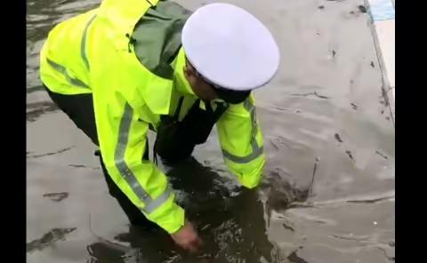 暴雨来袭  这群逆行者却从家里往街上跑