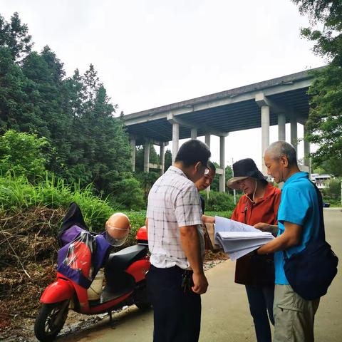 探索林权登记路 助推林改再出发