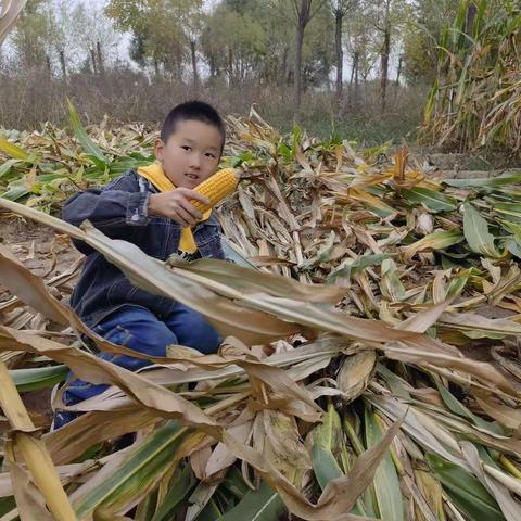 乌审旗第三实验小学三年级（7）第三组国庆实践活动