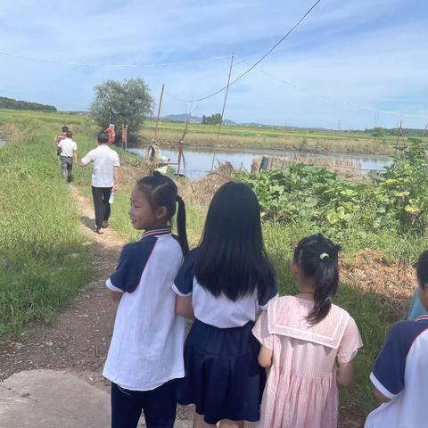 田畈街镇： 把防溺水课堂搬到水塘边，多措并举筑牢中小学生安全网！