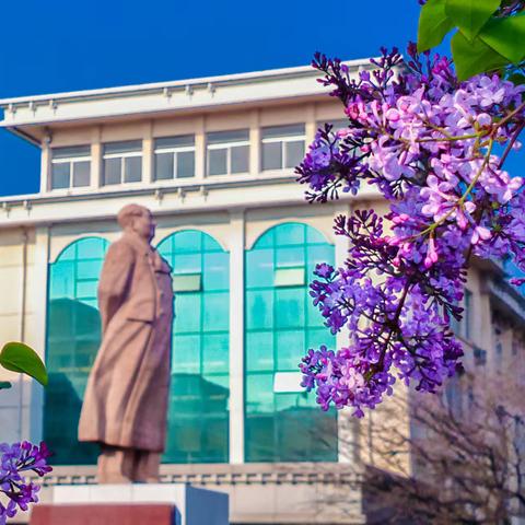 丁香花开满园芳--山东大学附属山东省肿瘤医院春色一隅