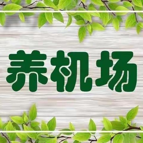 花园学校一年级13班马铭浩实践“养机场”活动