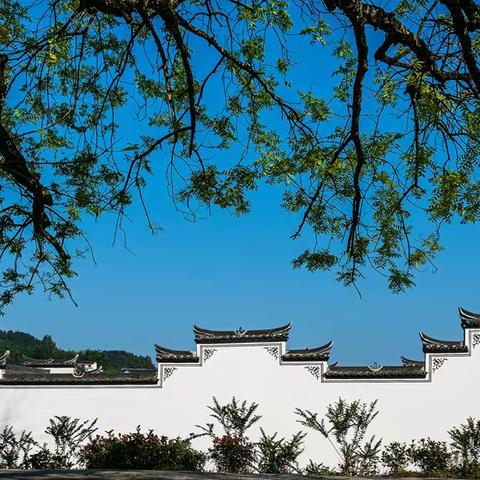 焦枣之乡   画里西山