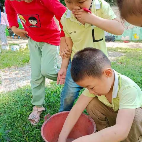 学习故事——《寻找昆虫行动》