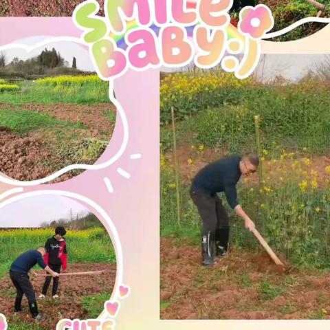 校园绿行动之播种篇∣泉湖中学开展种植园劳动教育活动