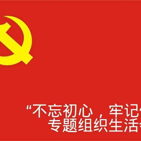 宝库乡中心学校党支部开展“不忘初心、牢记使命”专题组织生活会及民主评议党员工作