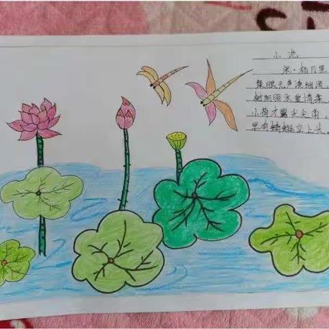 诗情画意手抄报——舜德小学四5班掠影