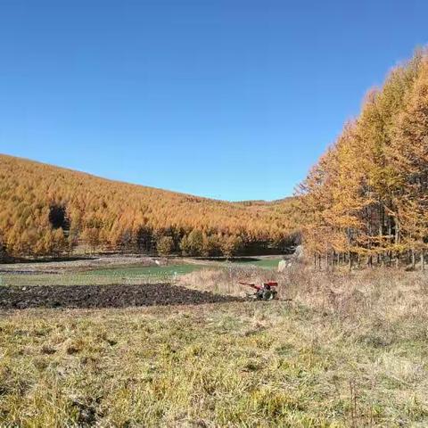 秋日崇礼