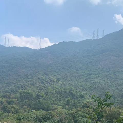 初探园山风景区