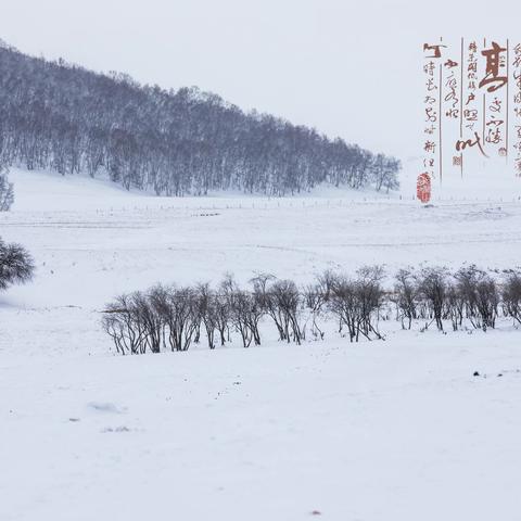 踏雪而行      水墨丹青