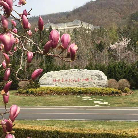 最美芳菲四月天      --健走团首次活动掠影