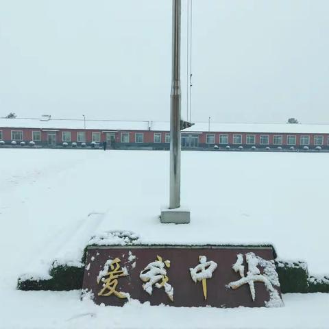 雪休停课不停学，线上教学进行时一一桑树台镇中心小学校雪休线上教学纪实