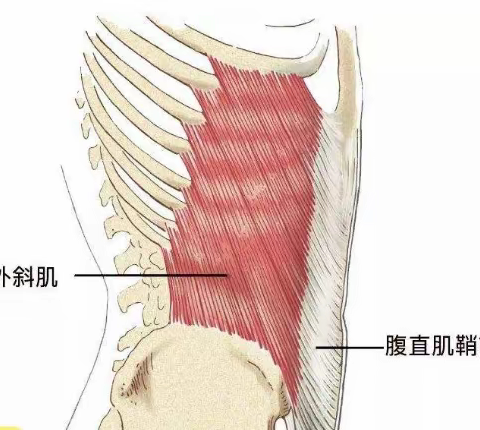 案例24 腰痛-来源于一次弯腰转身