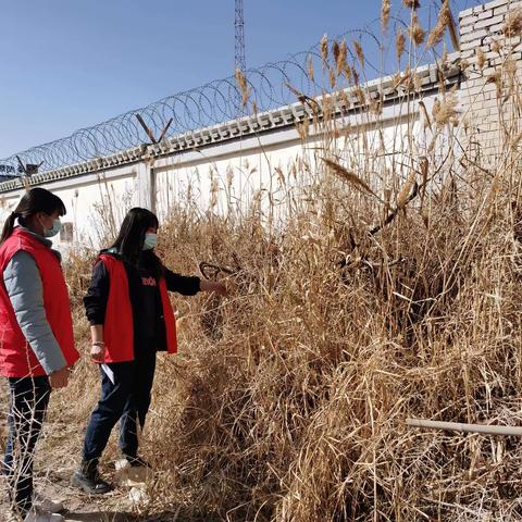 黄河路街道园艺社区一周剪影