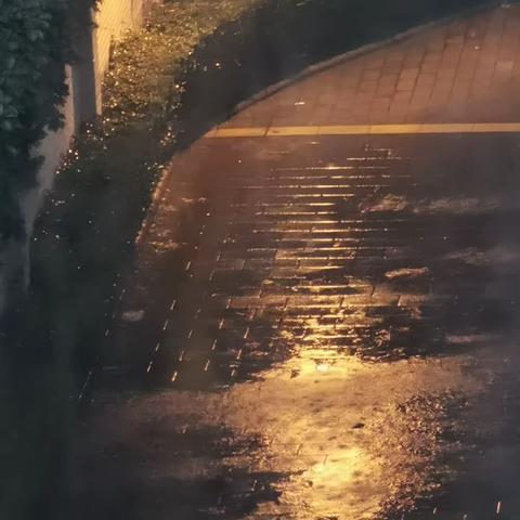 我在家中看雨