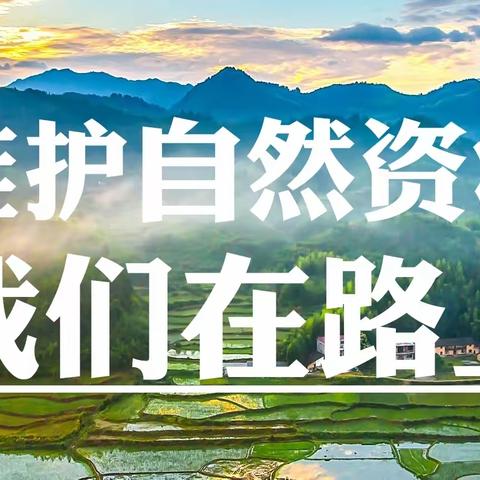 区整改专班对督查发现问题整改情况进行实地核测