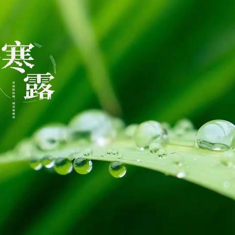 【节气小课堂】||秋来寒露重   且等听秋声