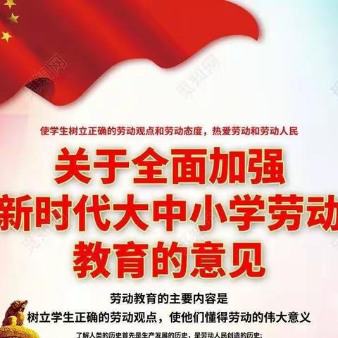 “践行五育并举方针，共绘农丰教育蓝图”—双城区农丰学校劳动教育总结篇