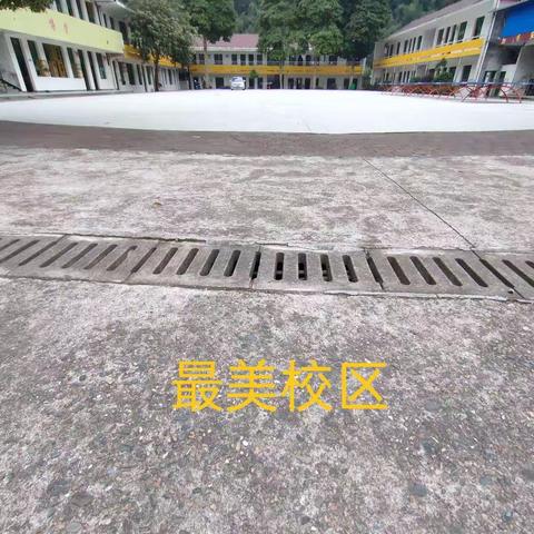 小金洞中心小学（10.25-10.29）周工作小记