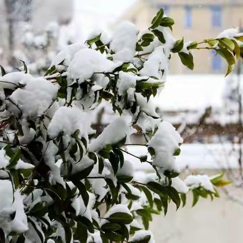 雪景心语