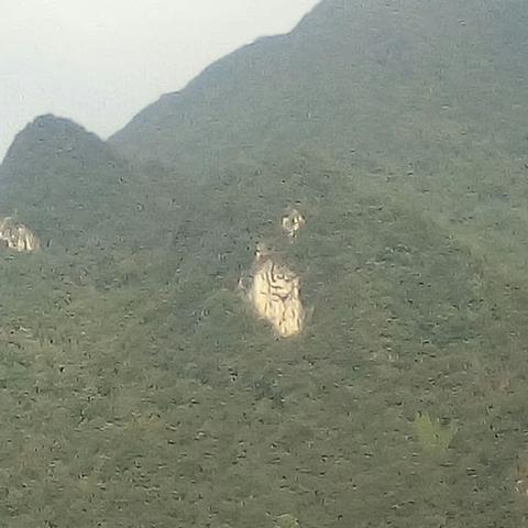 望山