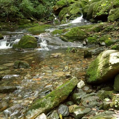 幽美的原生态美景---秦岭十寨沟