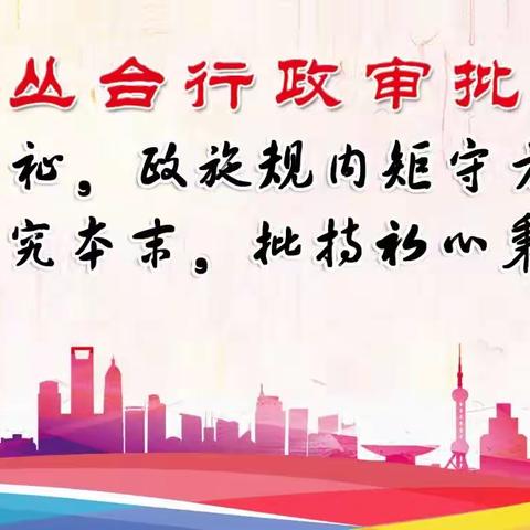 丛台区行政审批局召开政务服务“掌上办”提升工程动员部署会