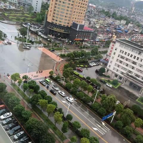 龙山一夜醉红尘