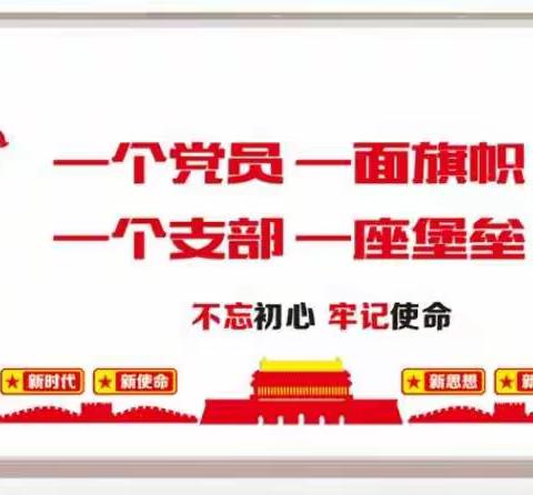 戴党徽、亮身份、当先锋、做表率——李楼村党员先锋岗