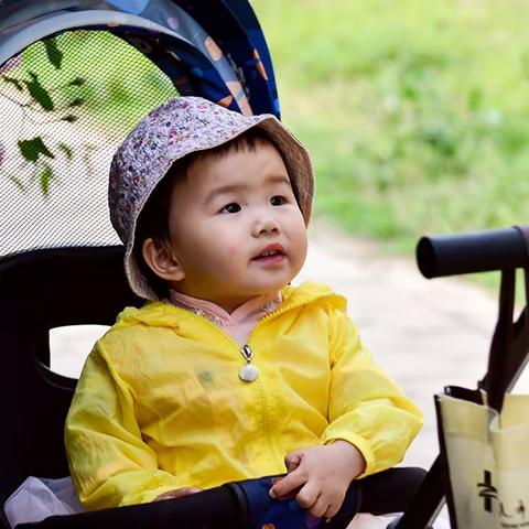 带宝宝游月季园2022.4.19