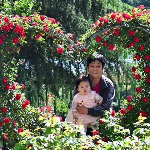 宝宝一岁五个月