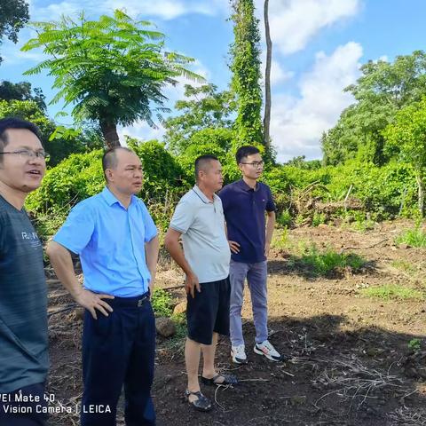 龙门镇党委书记调研石坡村乡村振兴产业发展工作