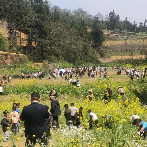 马关县八寨镇中心学校3.12植树节“一花一世界，一叶一菩提;植下一棵树，收获万点绿”主题活动