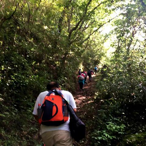 再平凡的路上也有风景
