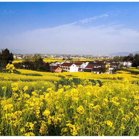 流金三月：打翻了调色板的汉中