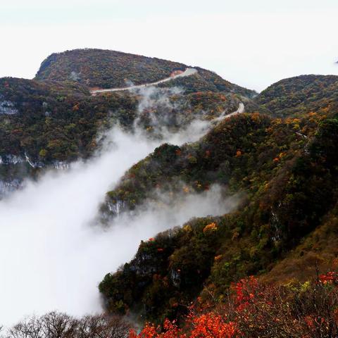 百看不厌的龙头山