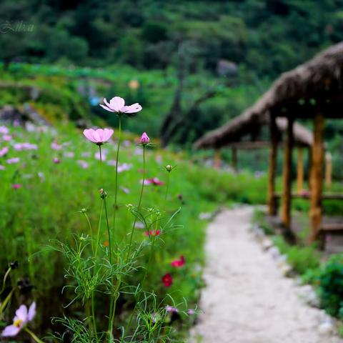 话说褒斜古栈道上的新故事
