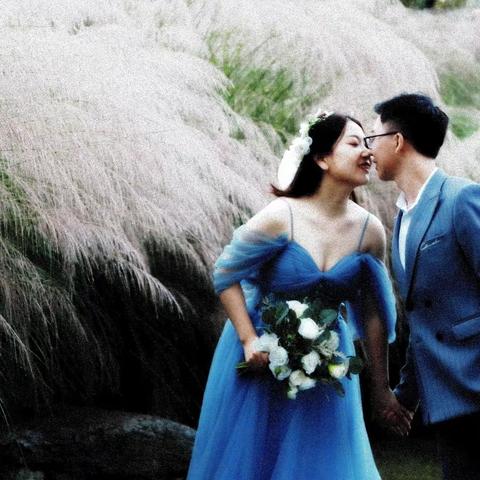 为江边的芦苇荡祝福