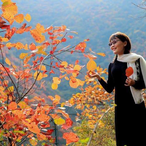 千里嘉陵江    红叶在略阳