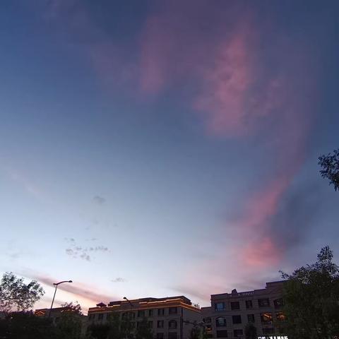 《校服上的夏天》