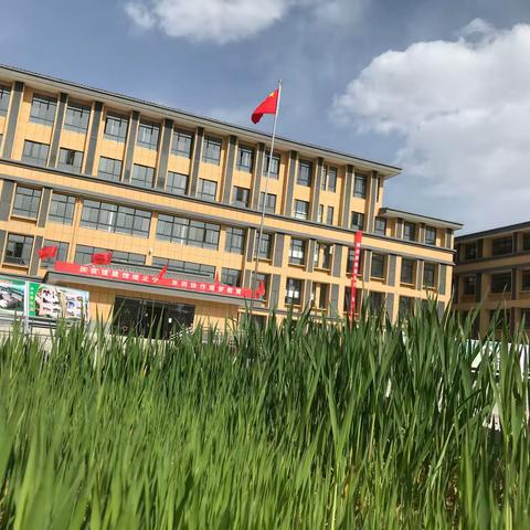 你认真的样子最美！—-记录2020年的北辰小学