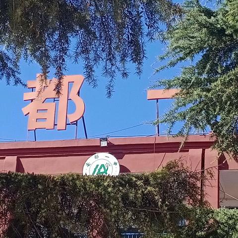 强化餐饮监管     确保用餐安全——记新乡市领导莅临我校检查餐饮安全工作