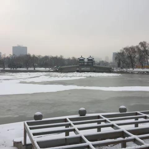 春日雪花飘飘洒洒 千般妩媚万种风情 纯静淡雅洁白晶莹 白了世界静了龙潭20170221~全部密友拍摄