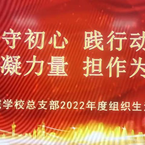 守初心  践行动  凝力量  担作为
——春城学校党总支2022年度组织生活会和民主评议党员大会