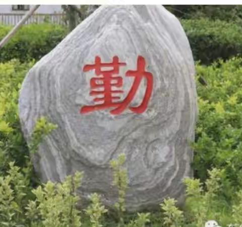 课堂展风采，教研促成长