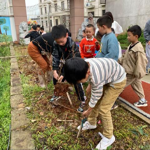 斜风细雨种新春——海天艺术中心幼儿园博学班种植活动