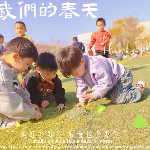 遇见春天，遇见你——青州市古城幼儿园小二班一周小记